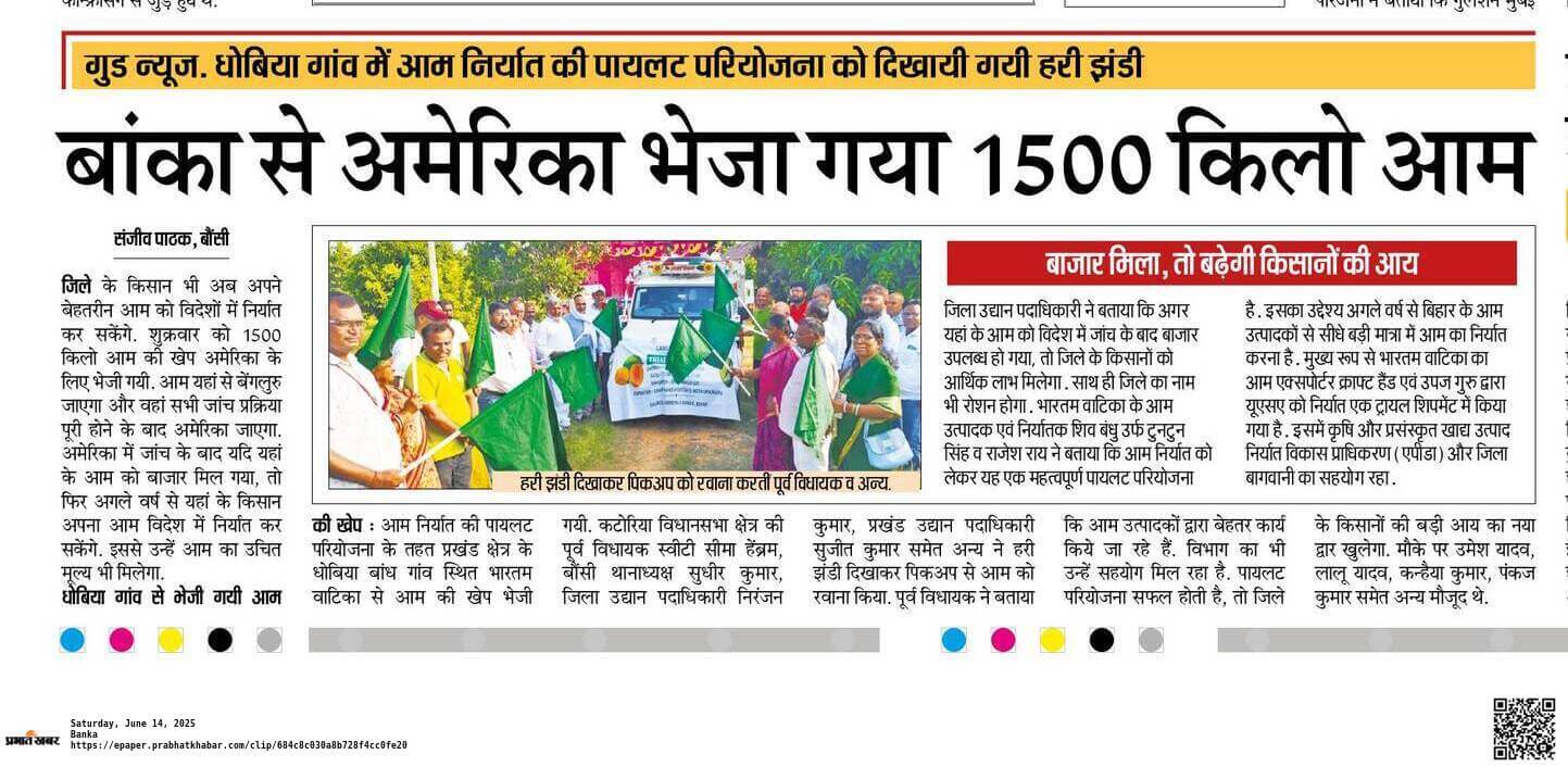 News 7