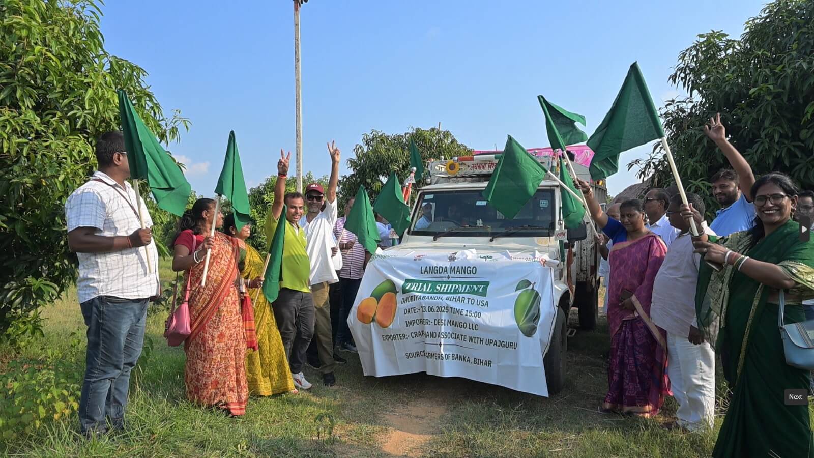 Mango Export Shipment
