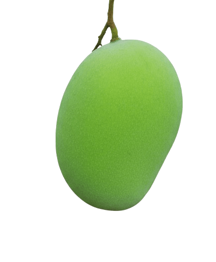 Raw Mango