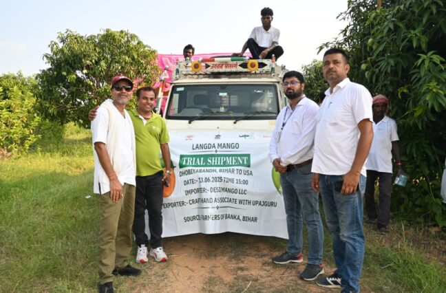 Ultrices sagittis orci a scelerisque purus semper eget duis at. Sollicitudin nibh sit amet.