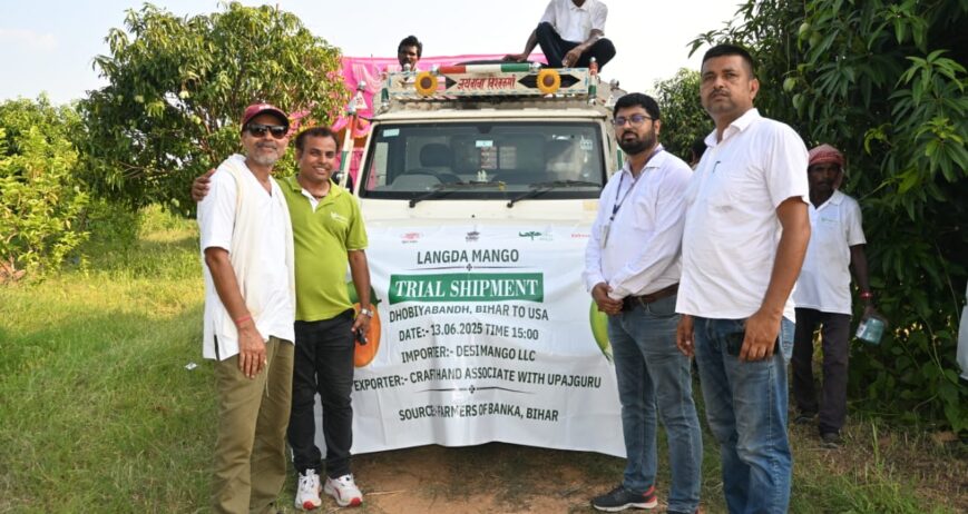 Ultrices sagittis orci a scelerisque purus semper eget duis at. Sollicitudin nibh sit amet.